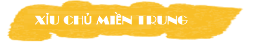 XCMT